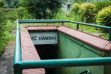 Poprzednie zdjęcie
