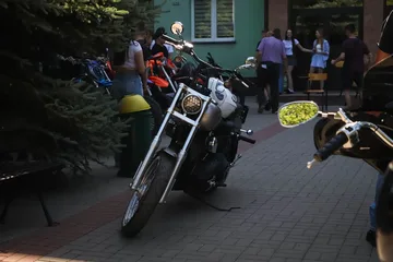 Następne zdjęcie