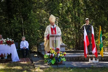 Poprzednie zdjęcie