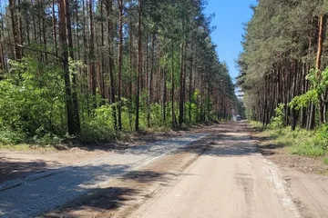 Następne zdjęcie