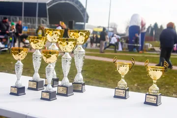 Następne zdjęcie
