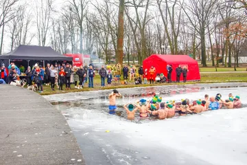 Poprzednie zdjęcie