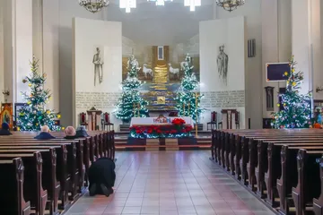 Następne zdjęcie