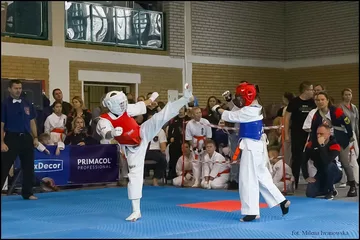 Następne zdjęcie