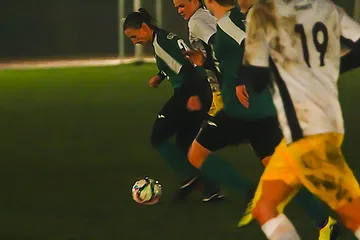 Następne zdjęcie