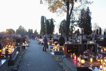 Poprzednie zdjęcie