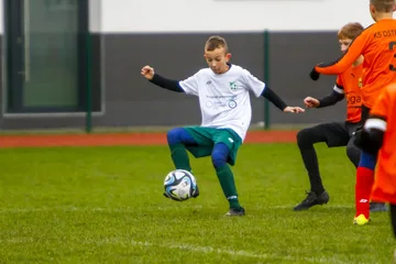 Poprzednie zdjęcie