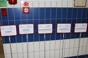 Następne zdjęcie