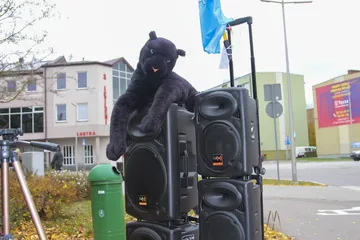 Poprzednie zdjęcie