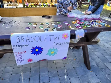 Poprzednie zdjęcie