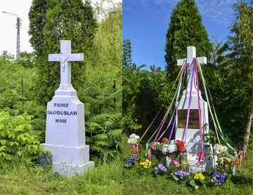 Poprzednie zdjęcie