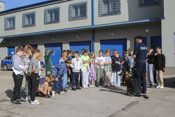 Poprzednie zdjęcie