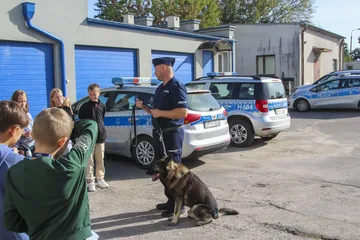 Następne zdjęcie
