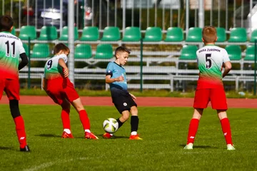 Poprzednie zdjęcie
