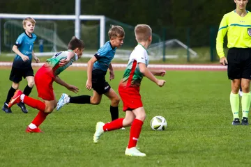 Poprzednie zdjęcie