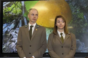 Następne zdjęcie