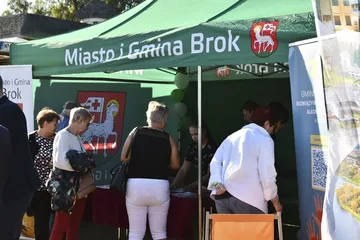 Poprzednie zdjęcie