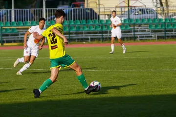Następne zdjęcie