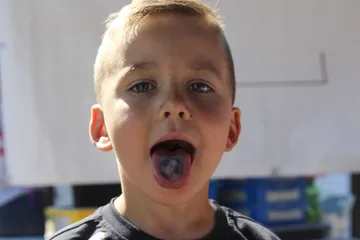 Poprzednie zdjęcie