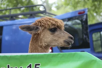 Następne zdjęcie