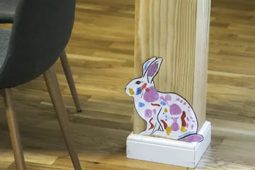 Poprzednie zdjęcie