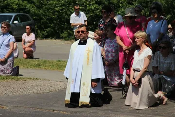 Poprzednie zdjęcie
