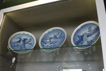 Poprzednie zdjęcie