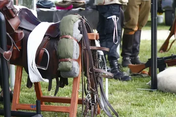 Następne zdjęcie