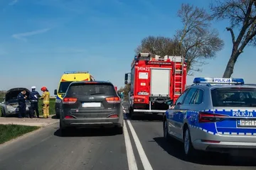 Następne zdjęcie