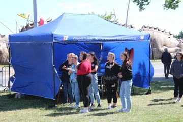 Poprzednie zdjęcie