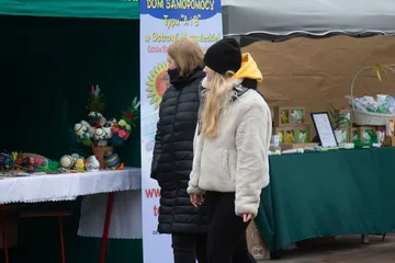 Następne zdjęcie