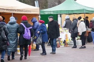 Następne zdjęcie