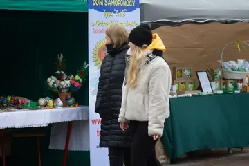 Poprzednie zdjęcie