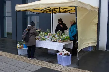 Poprzednie zdjęcie