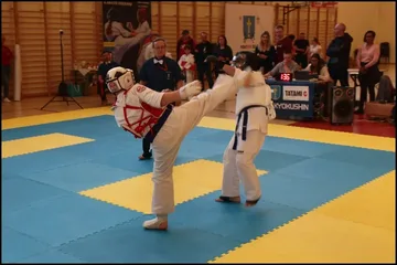 Poprzednie zdjęcie
