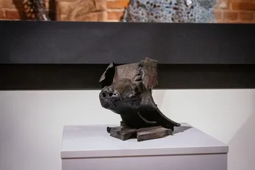 Następne zdjęcie
