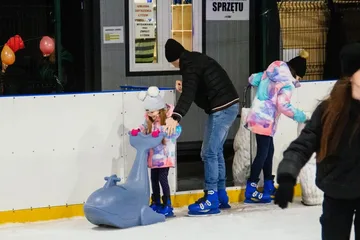 Poprzednie zdjęcie