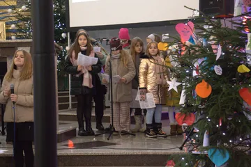 Następne zdjęcie