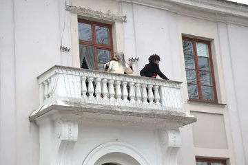 Następne zdjęcie