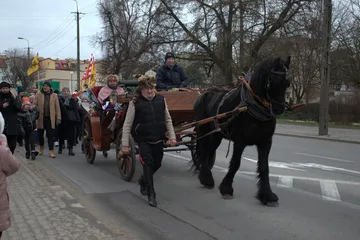 Poprzednie zdjęcie