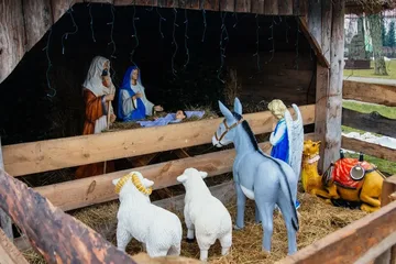 Bożonarodzeniowa szopka ozdobiła plac przed ratuszem miejskim w Broku (zdjęcia)