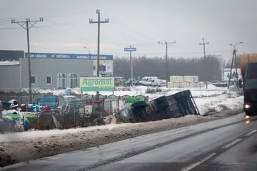 Poprzednie zdjęcie