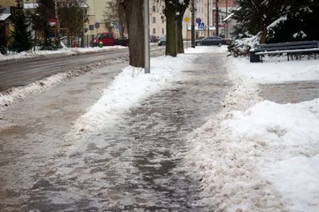 Poprzednie zdjęcie