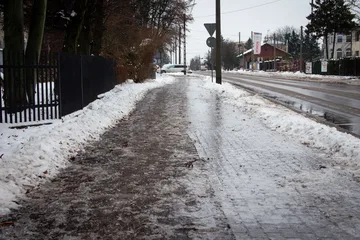 Następne zdjęcie
