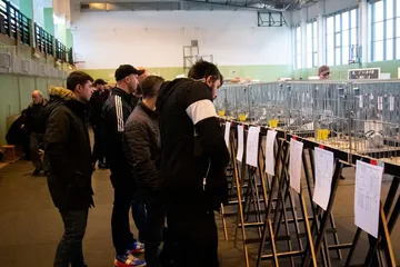 35. Okręgowa Wystawa Gołębi Pocztowych Okręgu Białystok już za nami! (zdjęcia)