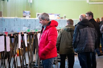 35. Okręgowa Wystawa Gołębi Pocztowych Okręgu Białystok już za nami! (zdjęcia)