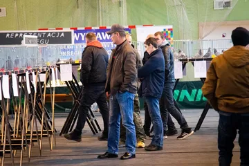 Następne zdjęcie
