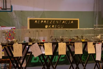 Następne zdjęcie