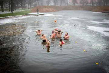 Następne zdjęcie