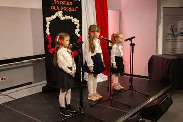 Poprzednie zdjęcie